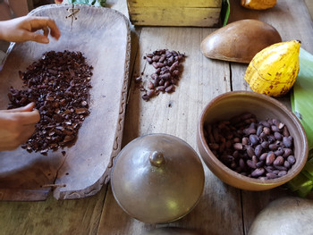 Bribri Medicinal Plants and Chocolate Tour photo 4